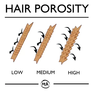 Hair porosity