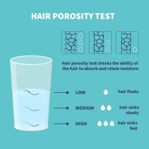 hair-porosity